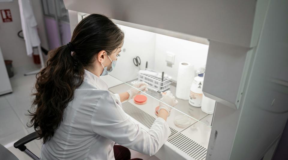 Phf Science Petri Dish Lab