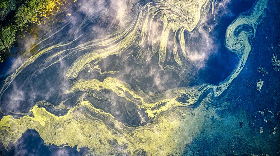 Phf Science Contaminated Water