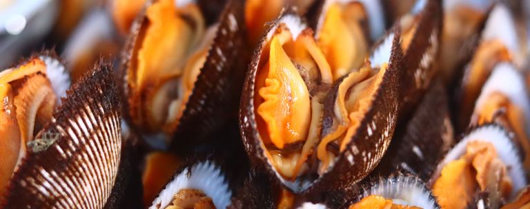 Seafood Shellfish PHF Science