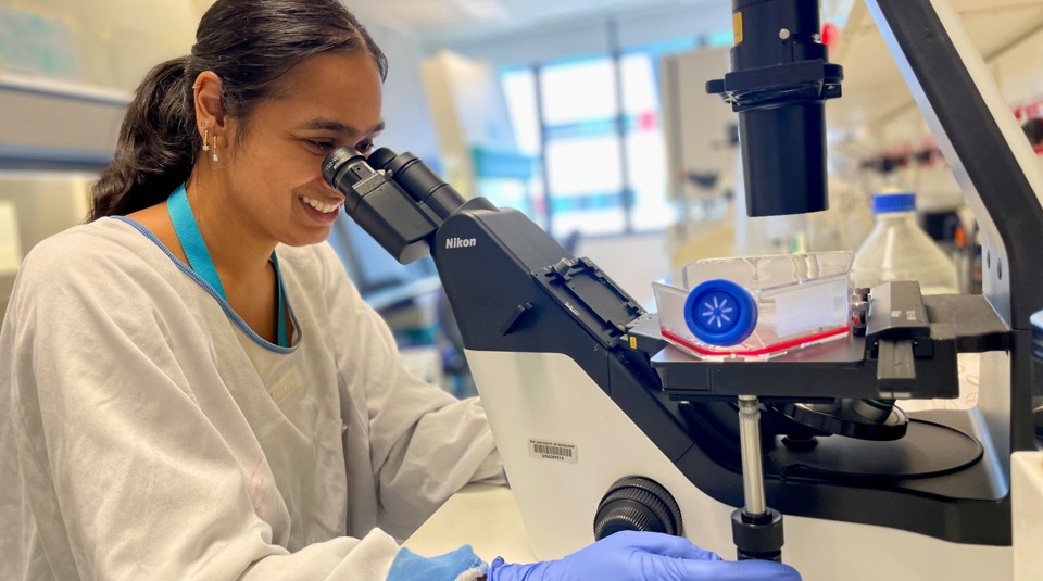 Lab Image Infectious Disease