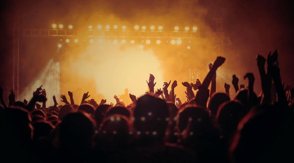 Festival Summer Drug Checking Phf Science